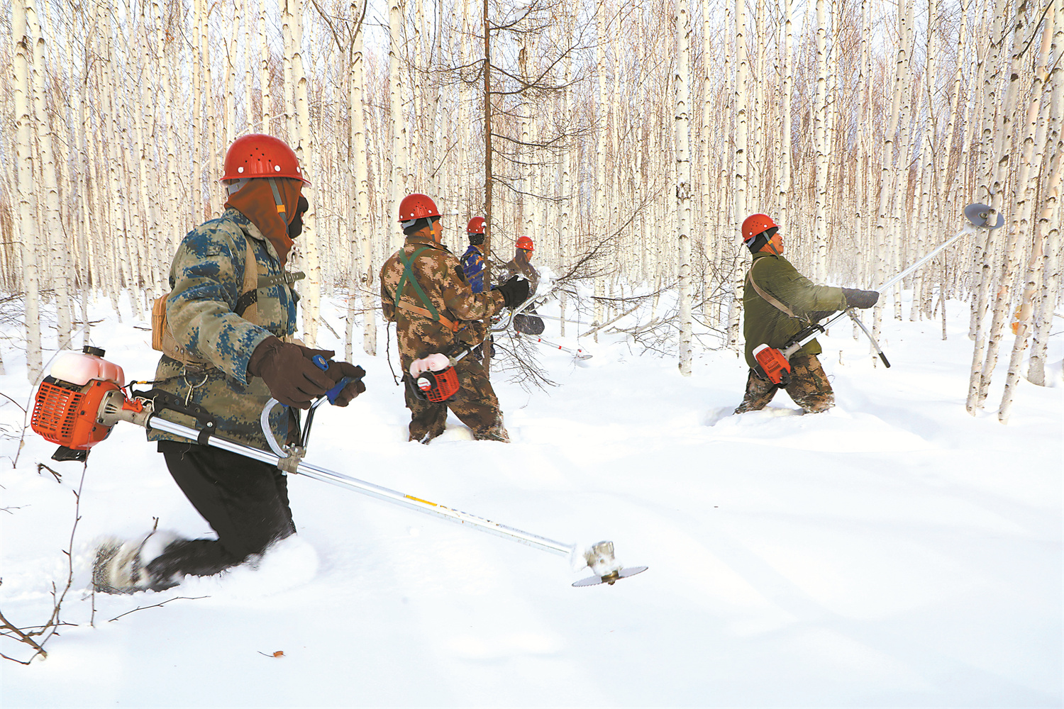 大兴安岭阿木尔林业局踏雪抚育生产_20241220001.jpg