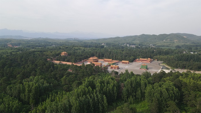 华北之冠！清西陵万株古松，三百年守护秘境——探秘世界文化遗产地的生态瑰宝_20250625001.jpg